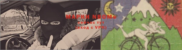 ГАЛЛЮЦИНОГЕННЫЕ ГРИБЫ Белокуриха