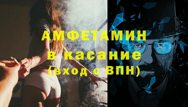 ГАЛЛЮЦИНОГЕННЫЕ ГРИБЫ Белокуриха