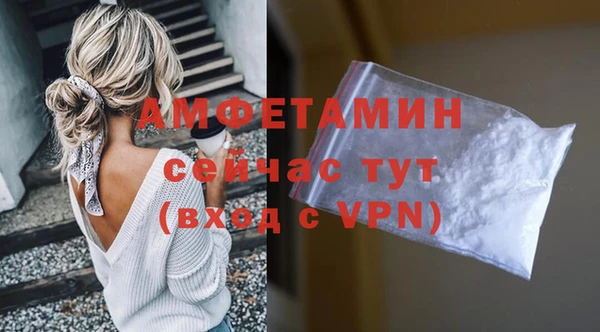 ГАЛЛЮЦИНОГЕННЫЕ ГРИБЫ Белокуриха