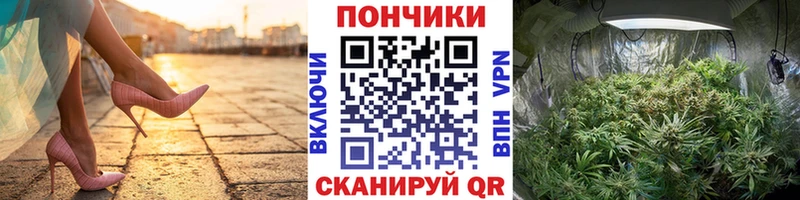 Марихуана Bruce Banner  Вязьма 